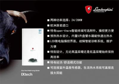 IX TECH 伊泰斯兩用壁掛爐